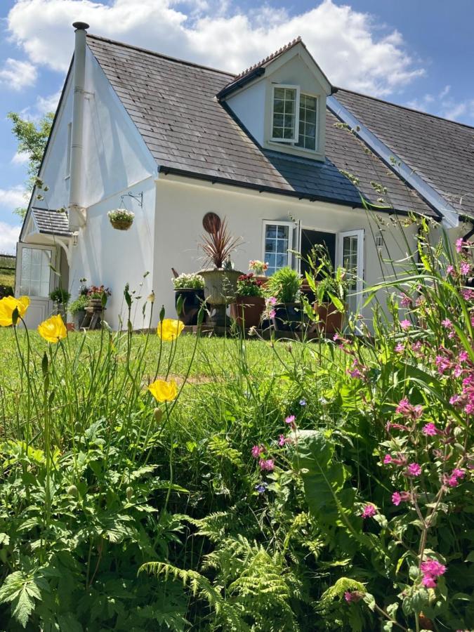 Cargibbitt Annexe Villa Liskeard Kültér fotó