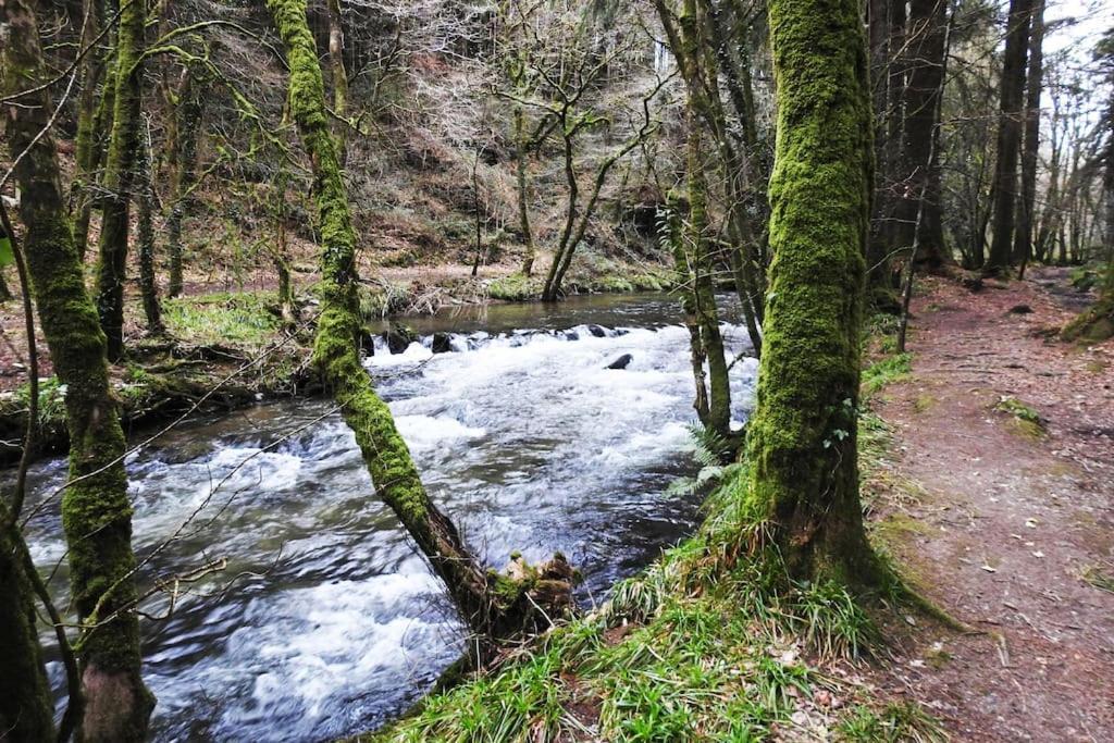 Cargibbitt Annexe Villa Liskeard Kültér fotó
