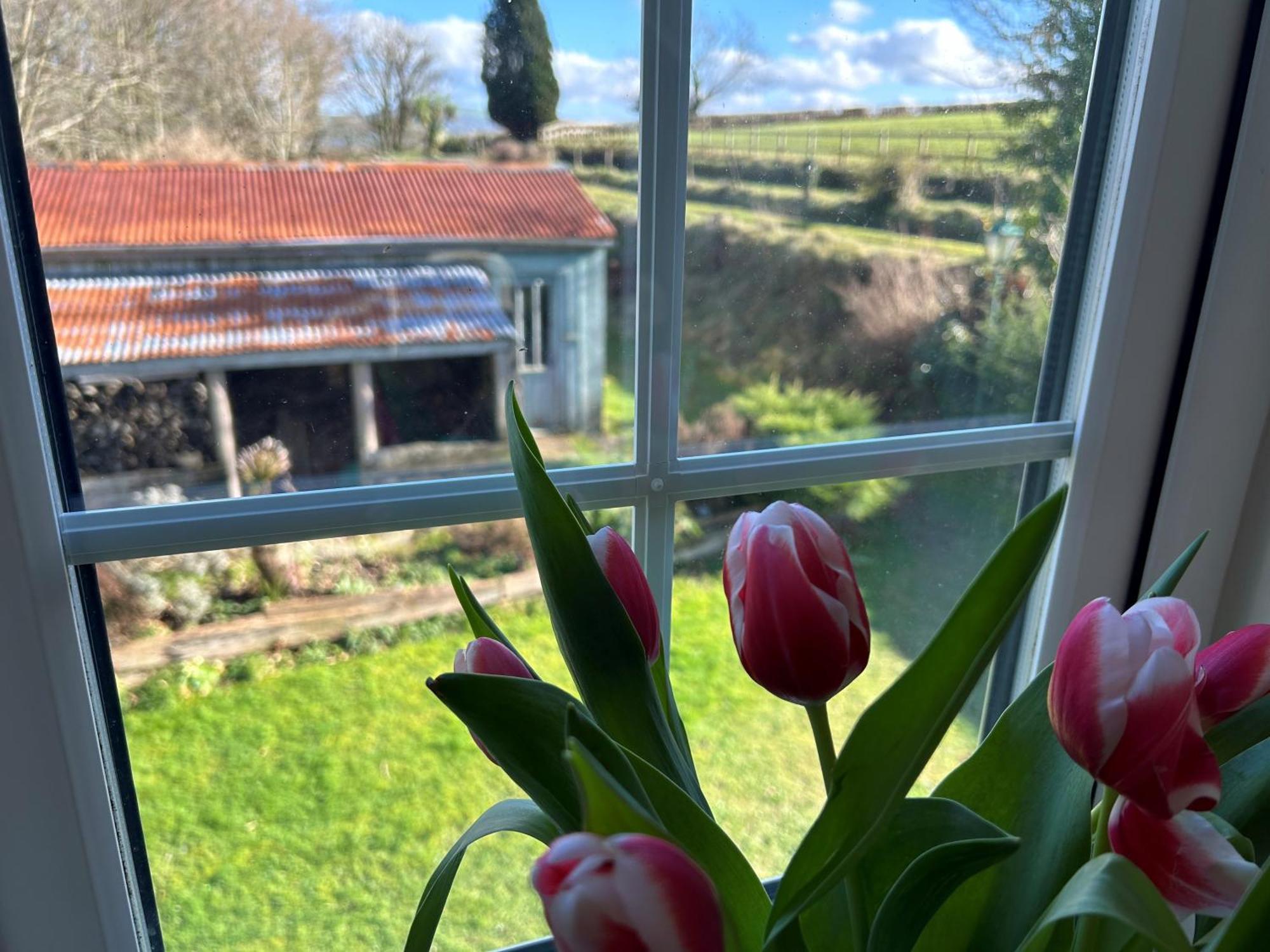 Cargibbitt Annexe Villa Liskeard Kültér fotó